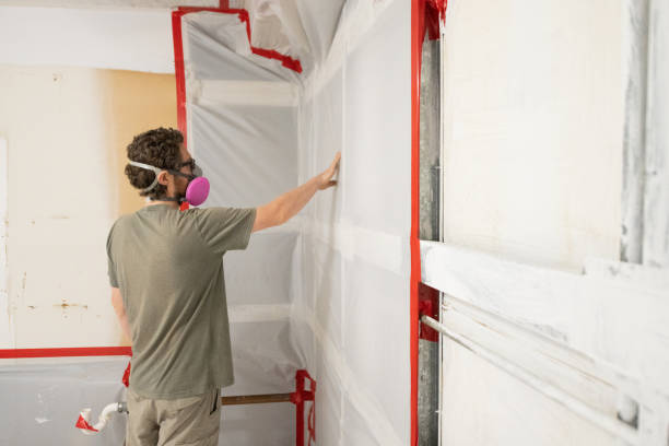 Best Comprehensive Air Testing for Mold Contaminants  in The Hammocks, FL
