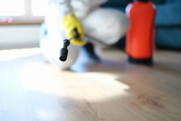 Best Industrial Mold Remediation  in The Hammocks, FL