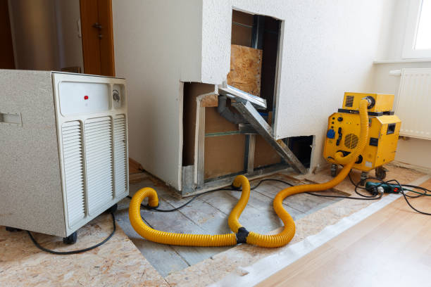Asbestos and Lead Testing During Mold Inspection in The Hammocks, FL